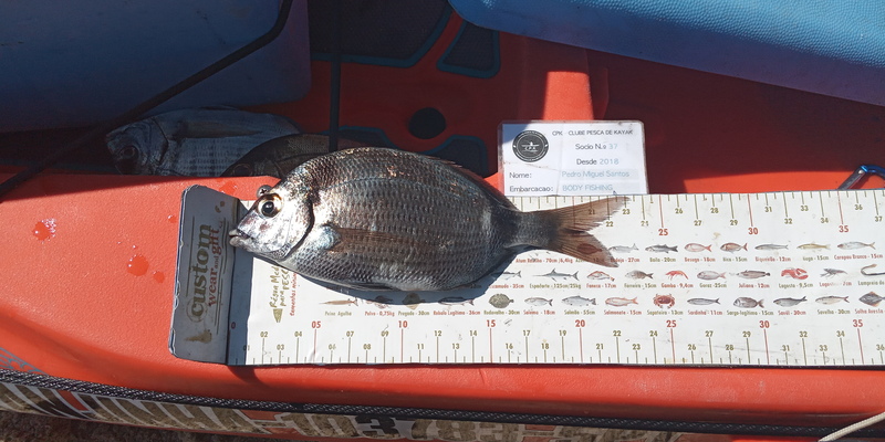 Fish Measure Picture