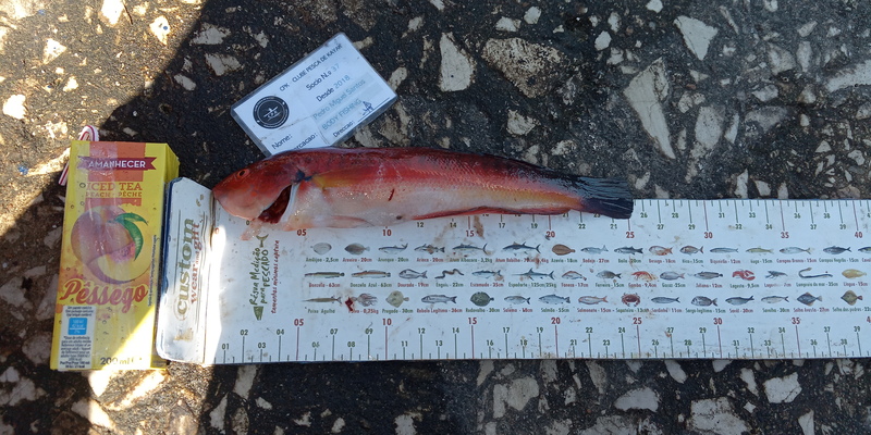 Fish Measure Picture