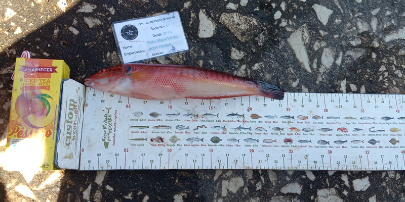 Fish Measure Picture