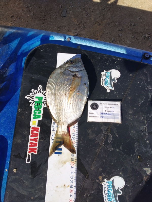 Fish Measure Picture