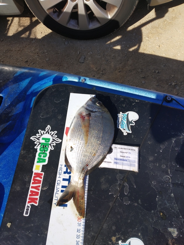 Fish Measure Picture