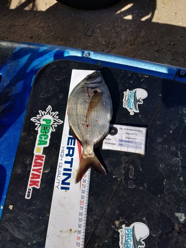 Fish Measure Picture