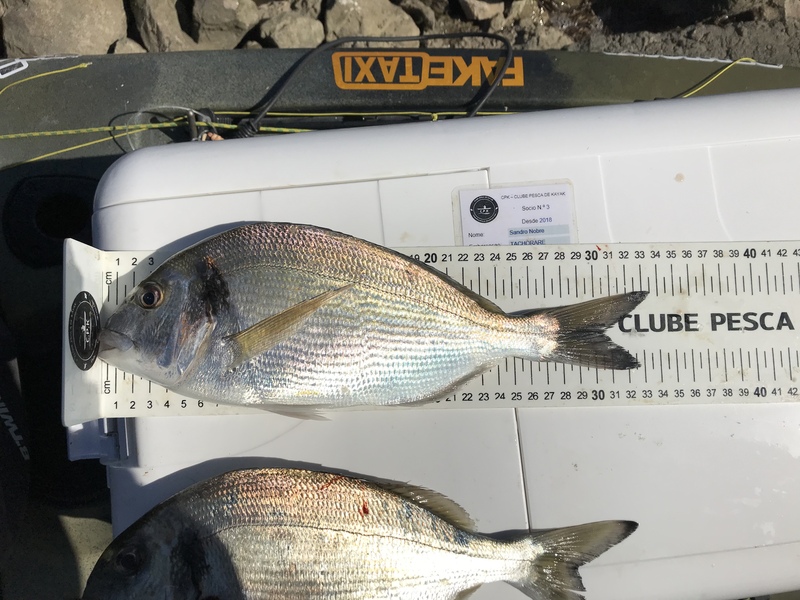 Fish Measure Picture