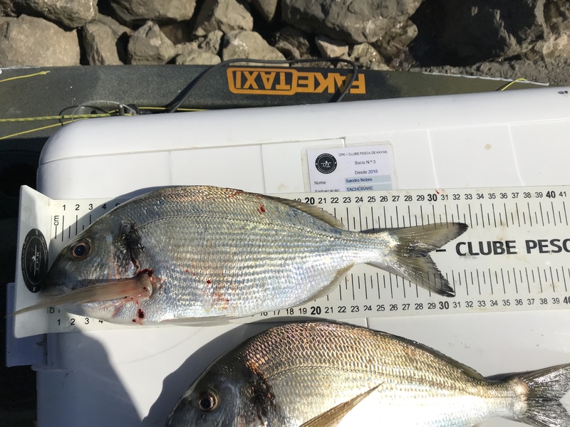 Fish Measure Picture
