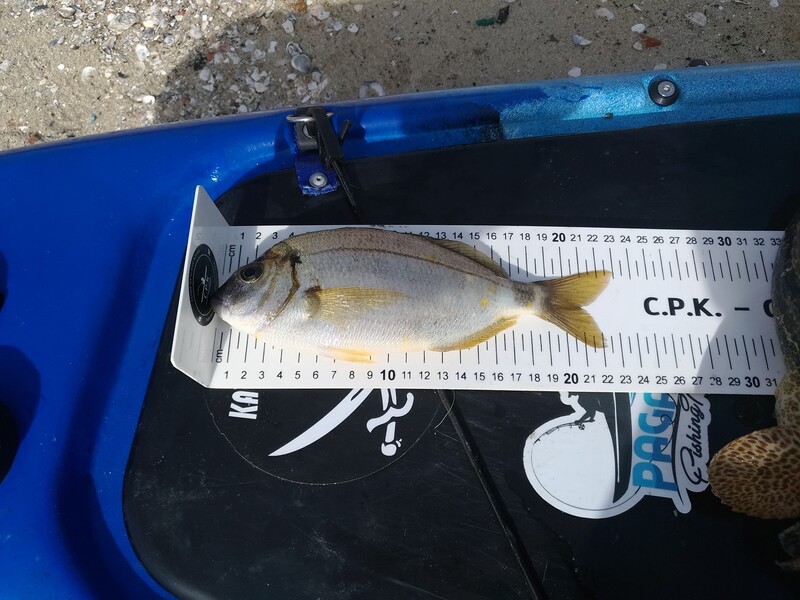 Fish Measure Picture
