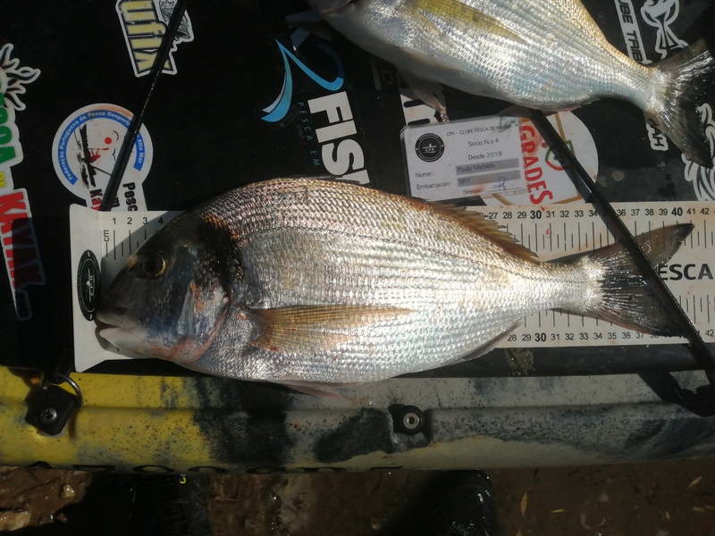 Fish Measure Picture