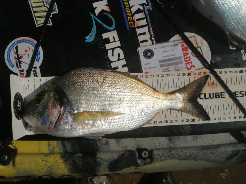 Fish Measure Picture
