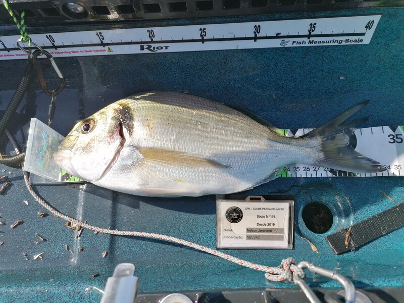 Fish Measure Picture