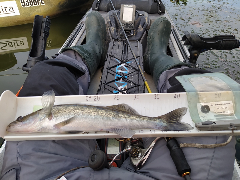 Fish Measure Picture