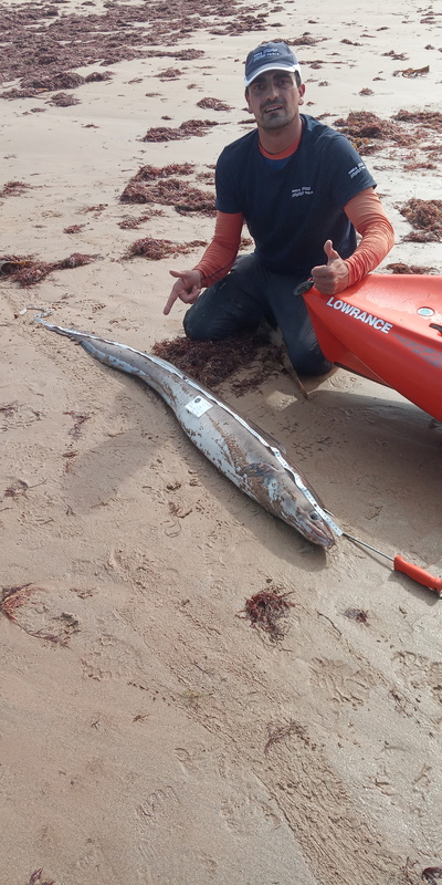Fish Measure Picture