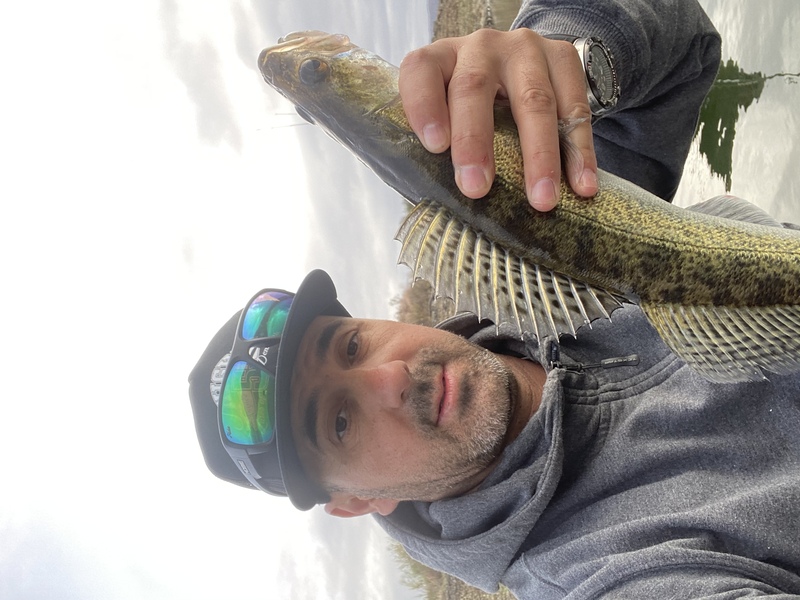 Fish Profile Picture