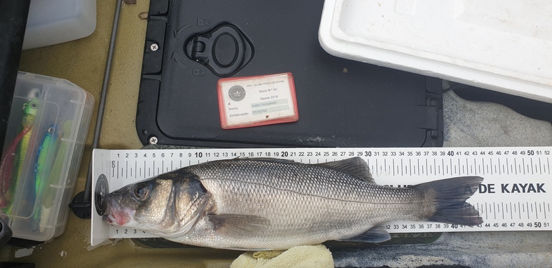 Fish Measure Picture