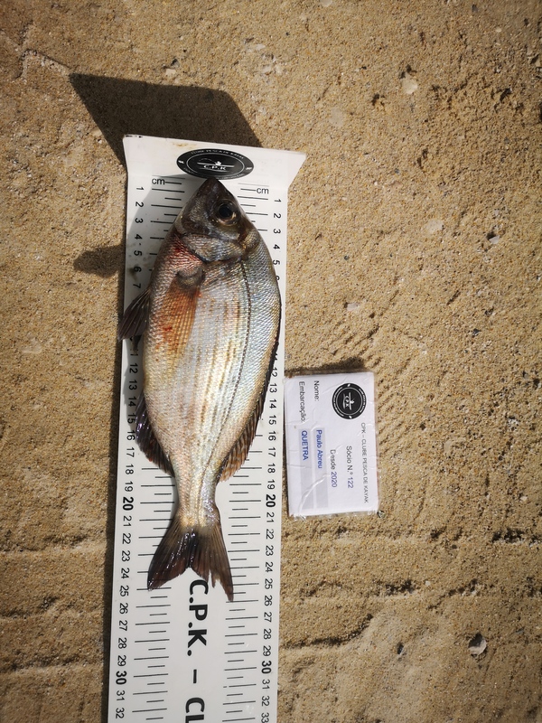 Fish Measure Picture