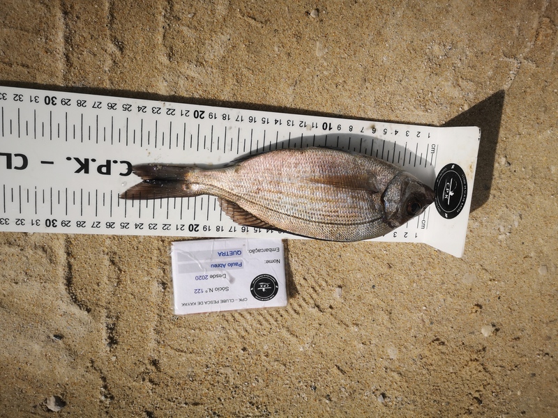 Fish Measure Picture