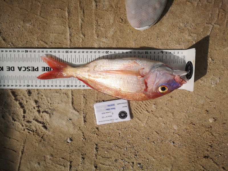 Fish Measure Picture