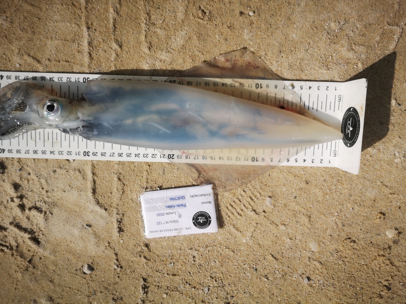Fish Measure Picture