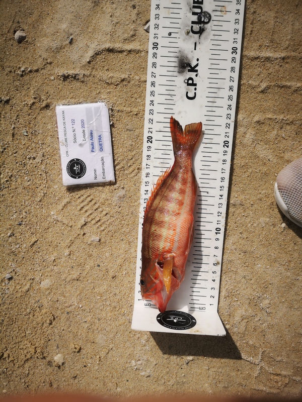 Fish Measure Picture