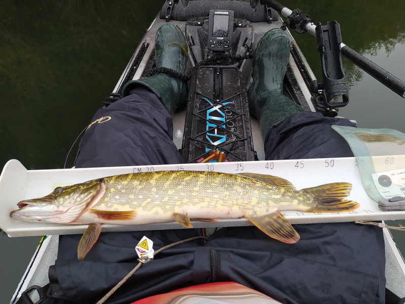 Fish Measure Picture