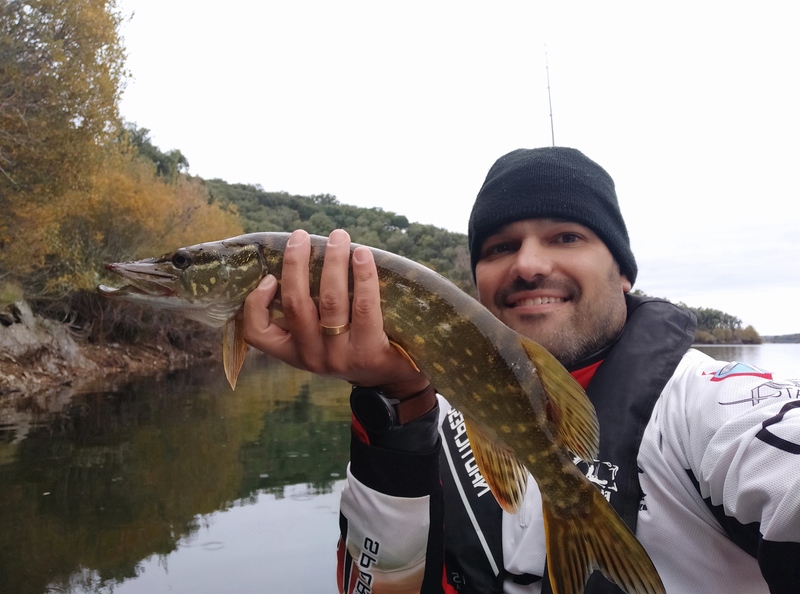 Fish Profile Picture