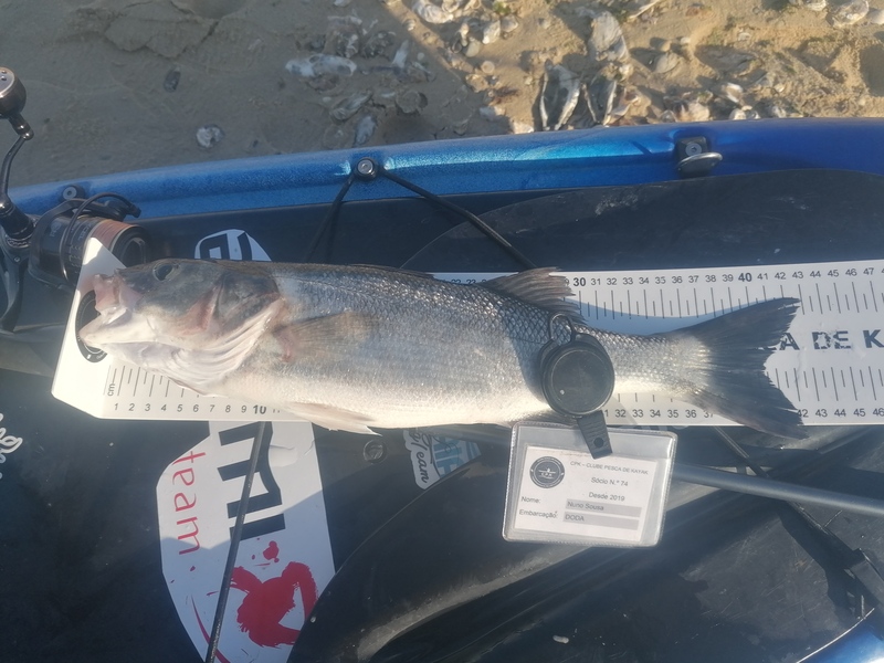 Fish Measure Picture