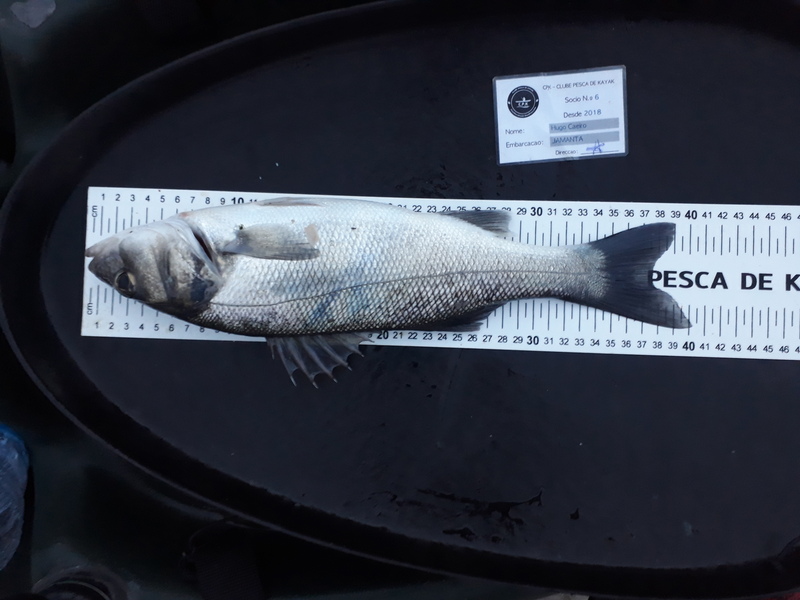 Fish Measure Picture