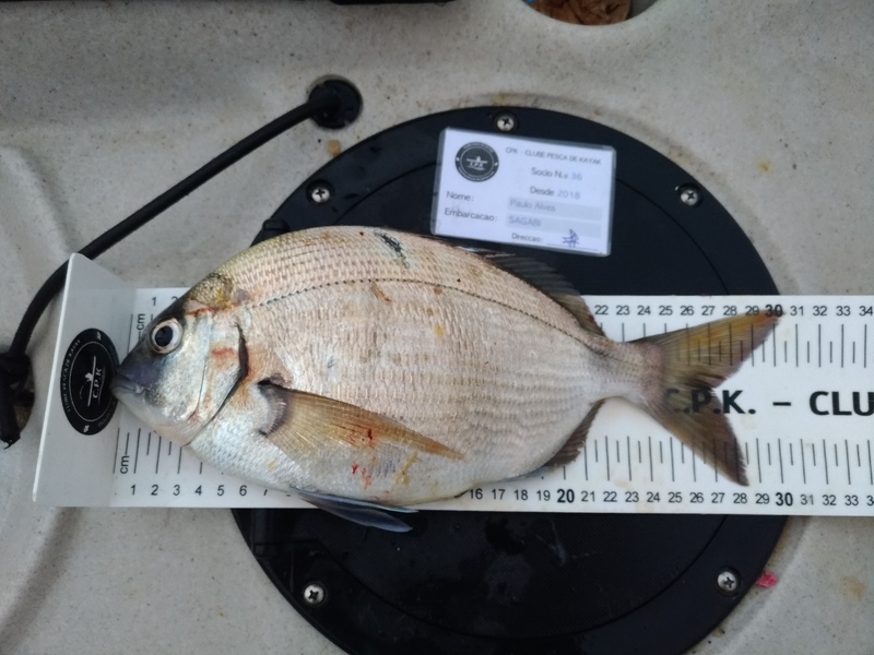 Fish Measure Picture