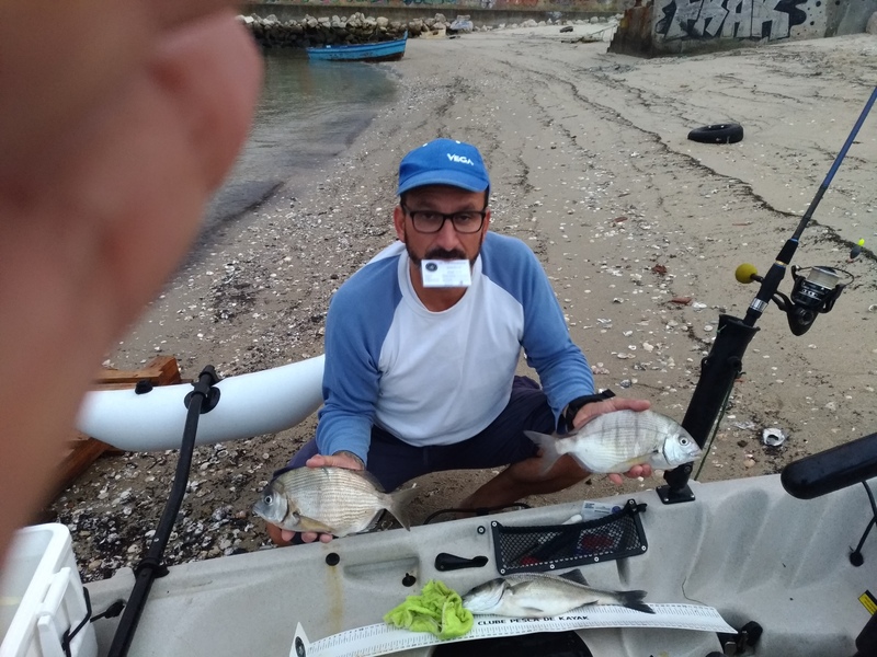Fish Profile Picture