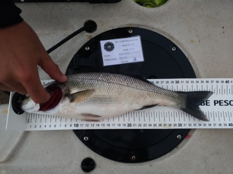 Fish Measure Picture
