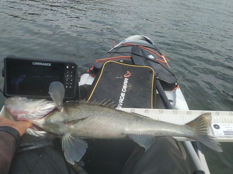 Fish Measure Picture