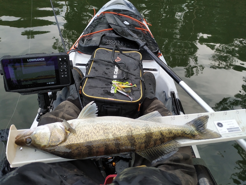 Fish Measure Picture