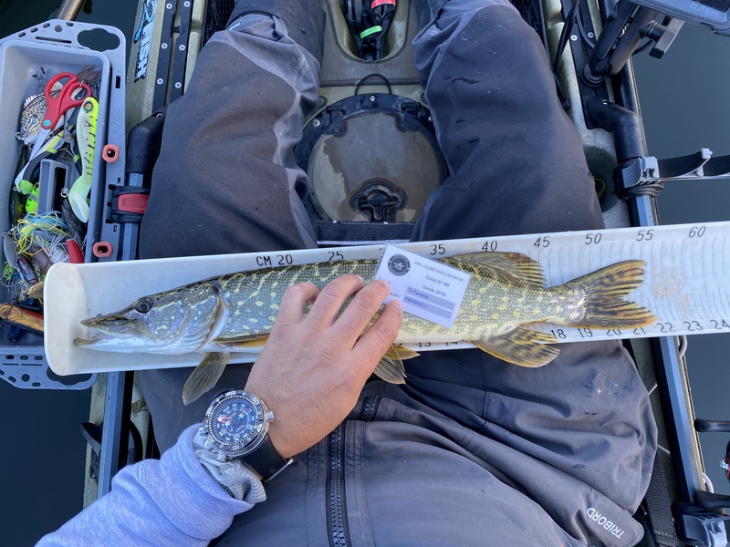 Fish Measure Picture