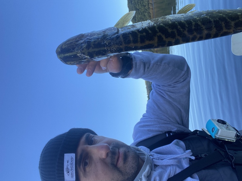 Fish Profile Picture