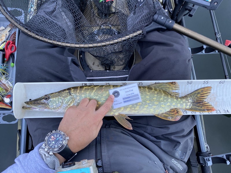 Fish Measure Picture
