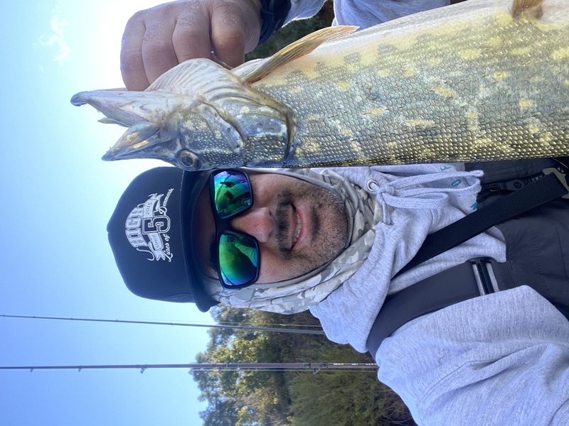 Fish Profile Picture