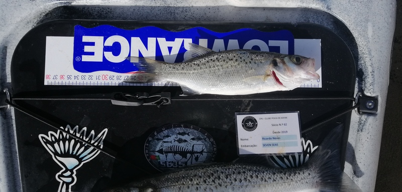 Fish Measure Picture