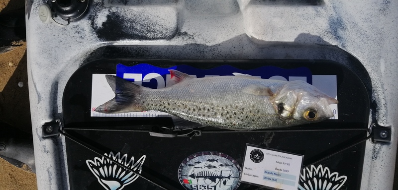 Fish Measure Picture