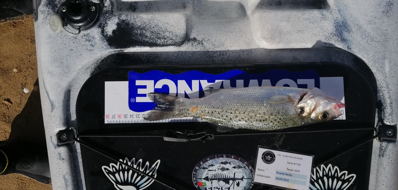 Fish Measure Picture