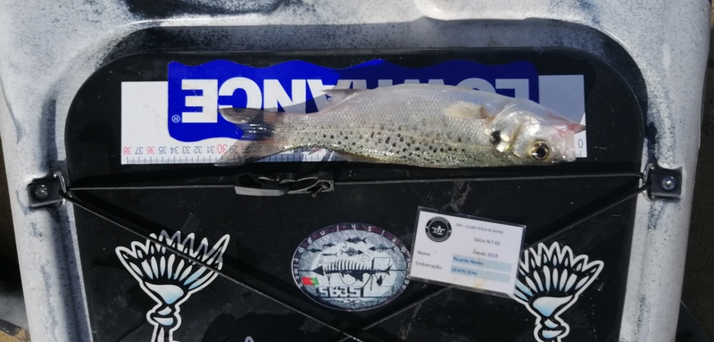 Fish Measure Picture