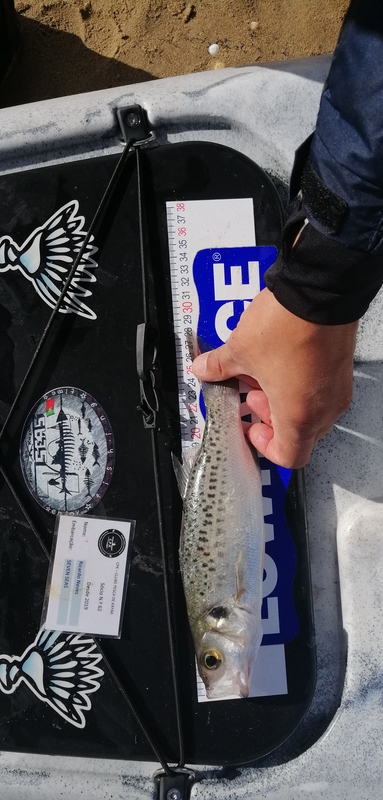 Fish Measure Picture