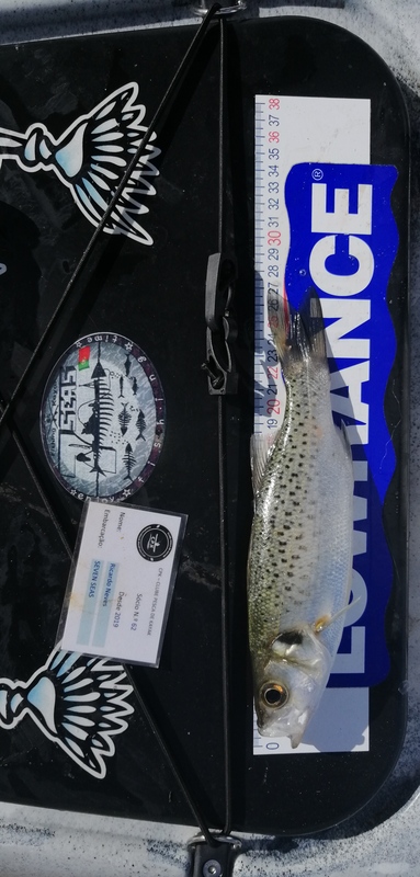 Fish Measure Picture