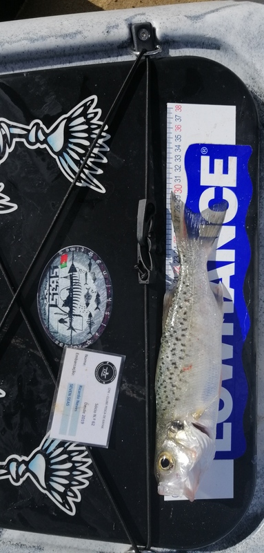 Fish Measure Picture