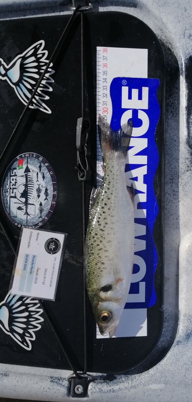Fish Measure Picture