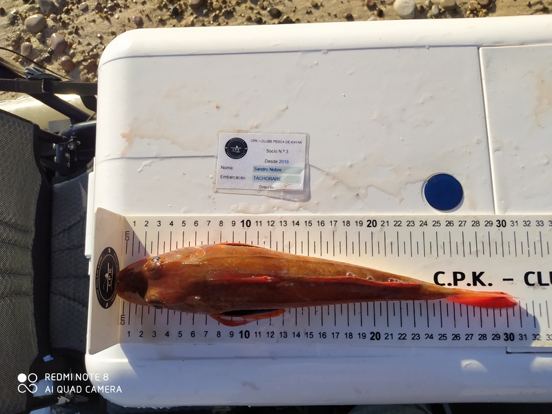 Fish Measure Picture