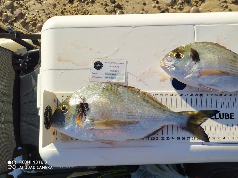 Fish Measure Picture