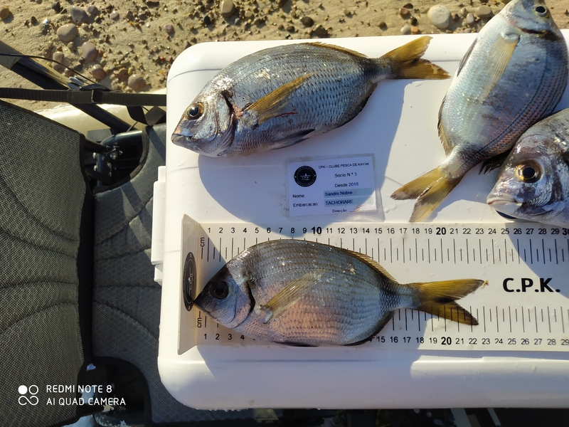 Fish Measure Picture