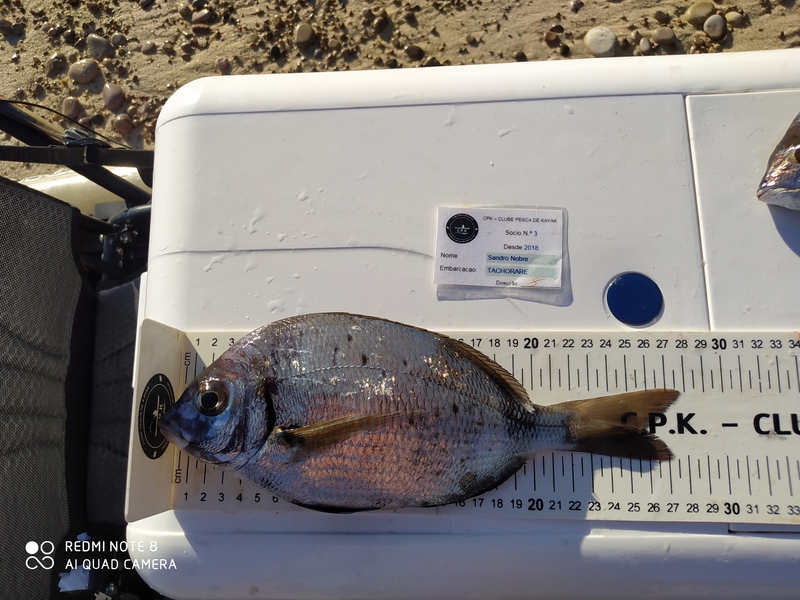 Fish Measure Picture