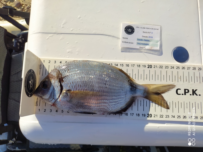 Fish Measure Picture