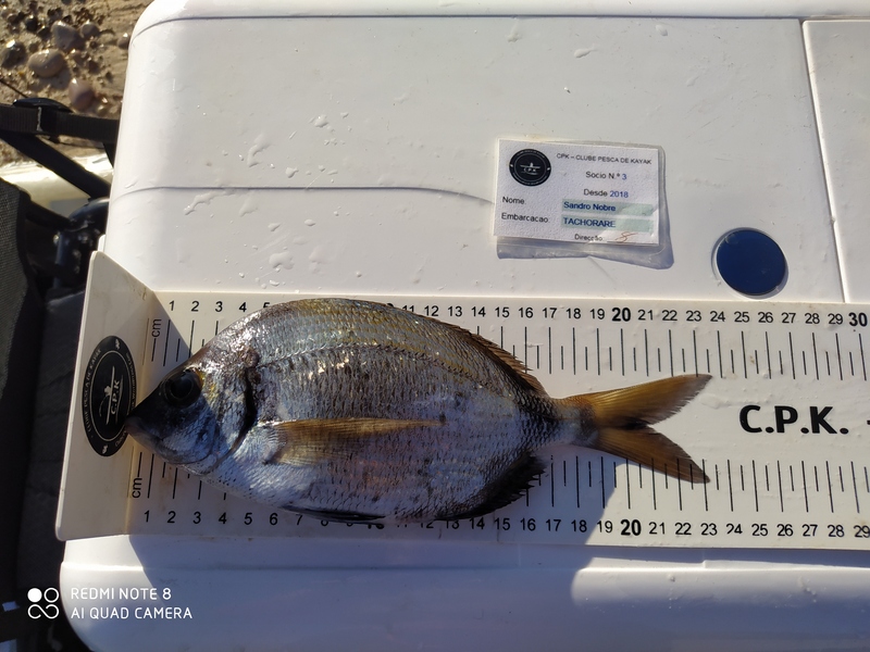 Fish Measure Picture