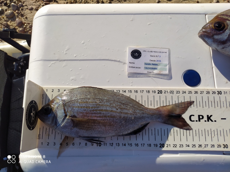 Fish Measure Picture