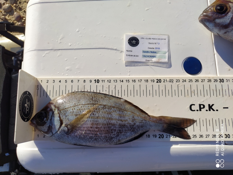 Fish Measure Picture